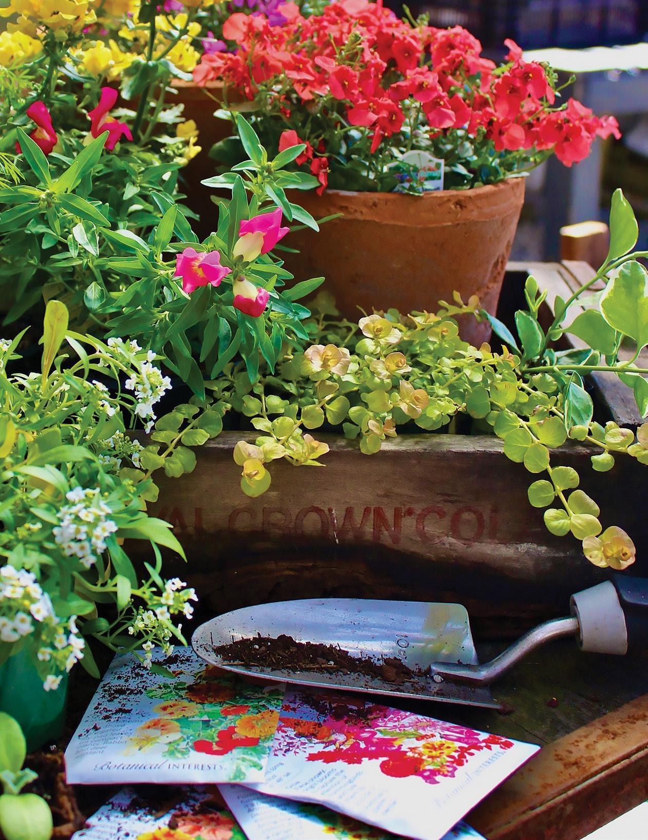 Carolina Mountain Life - Spring 2023 by Carolina Mountain Life ...