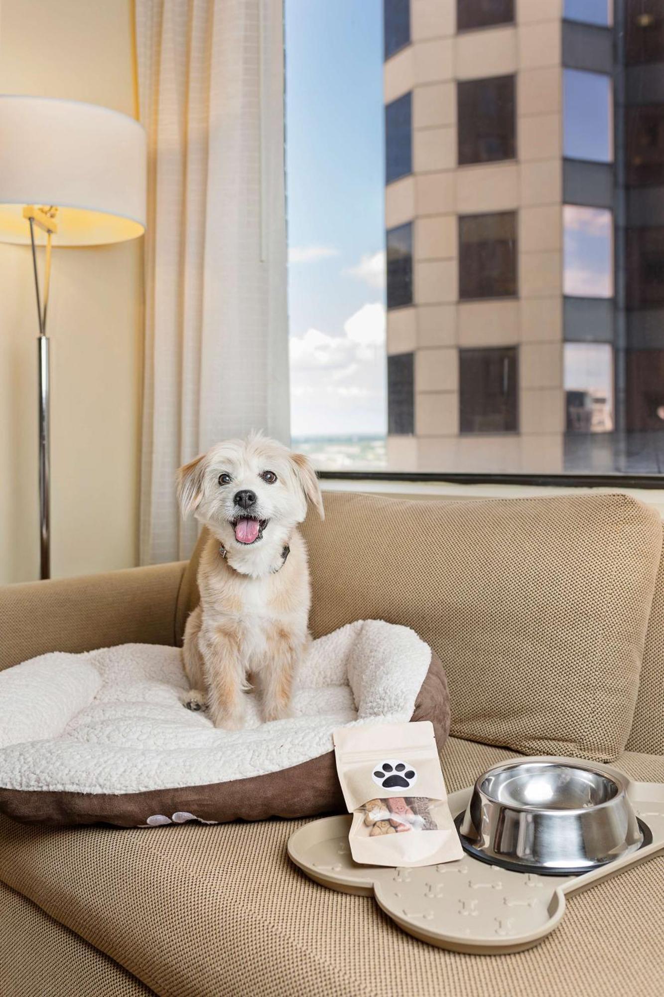 Corner Double Room with Two Double Beds,1434591685:JPEG