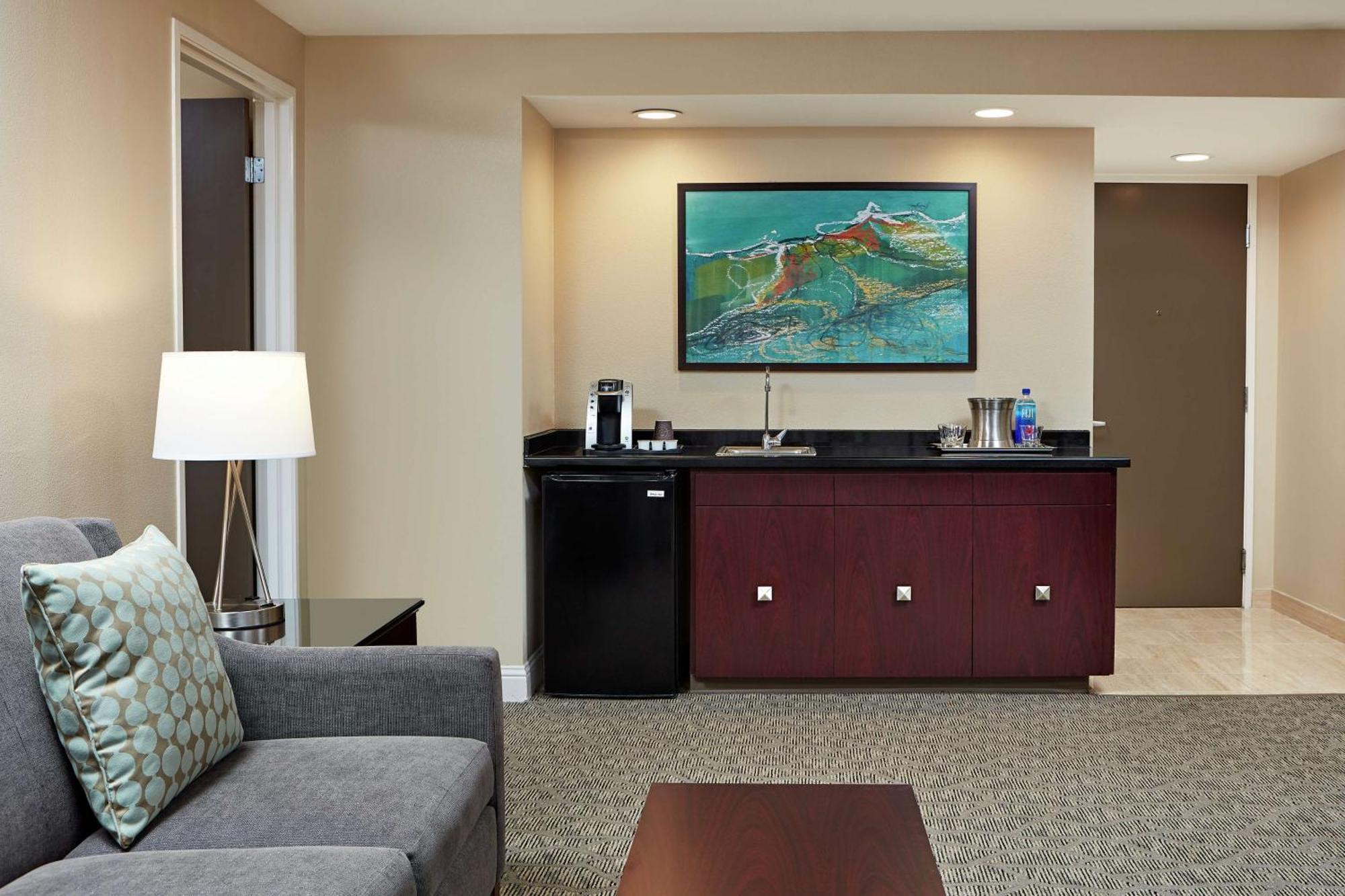One-Bedroom King Suite