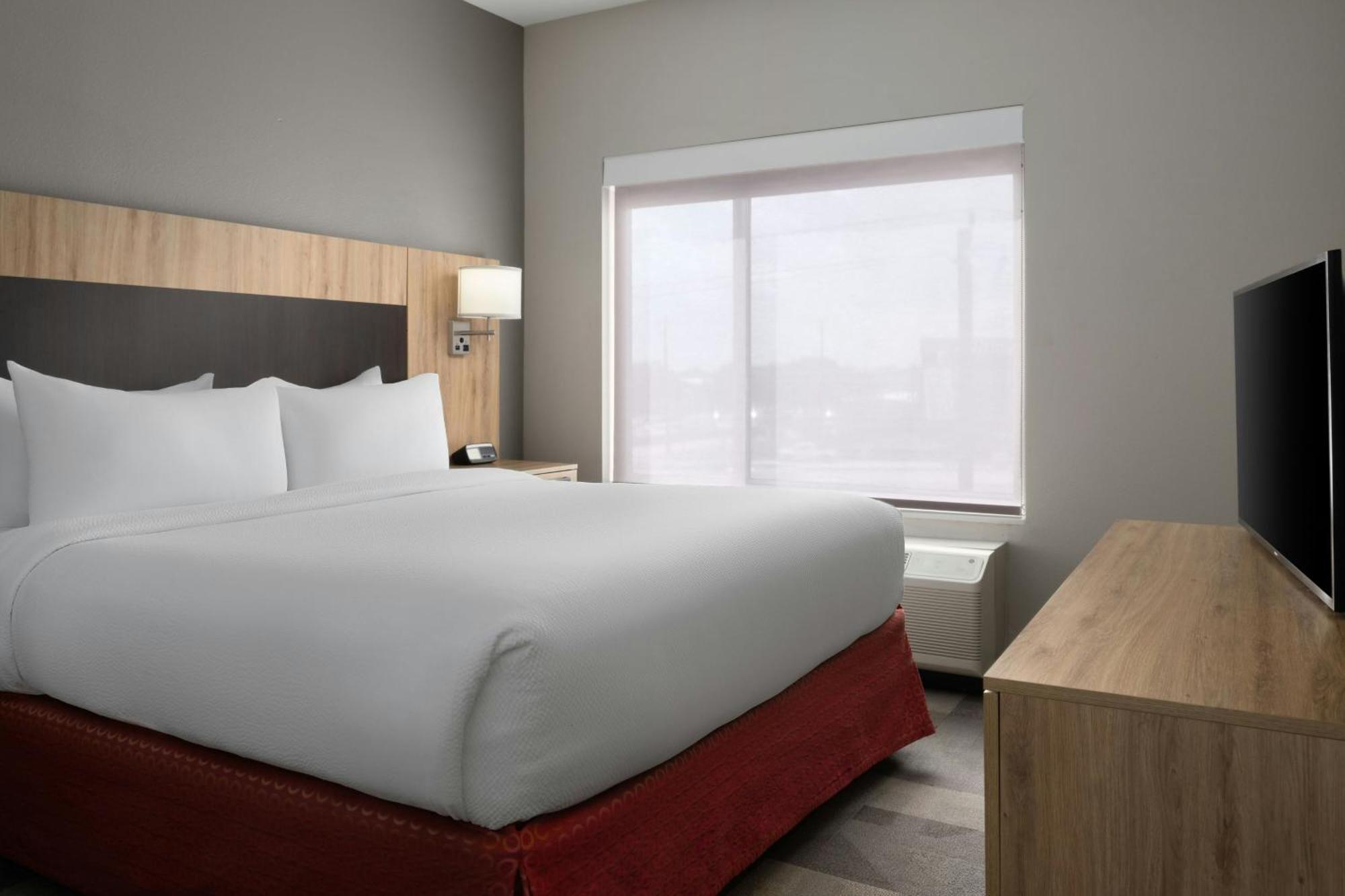 1 Bedroom Suite, 1 King, Sofa bed