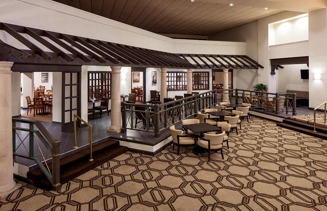 Hilton Houston Galleria Area-1