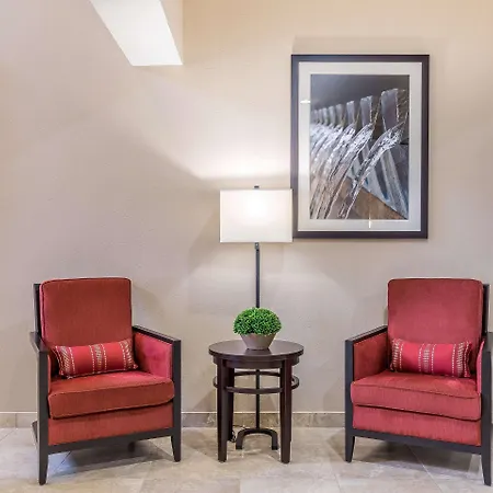 Comfort Suites Houston Iah Airport - Beltway 8-3