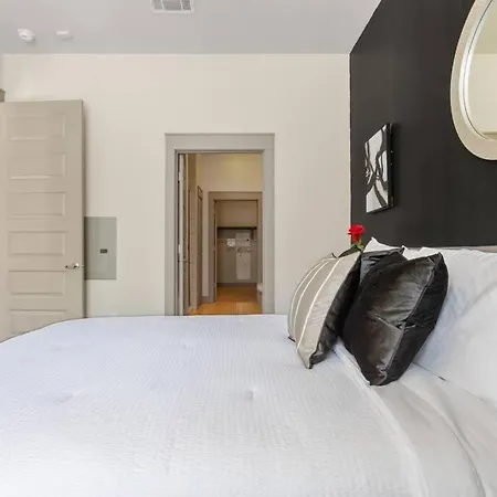 Downtown Houston Luxury Apartment-2