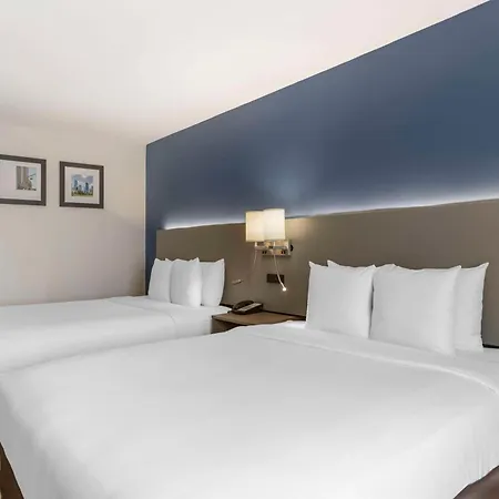 Comfort Inn & Suites Houston Fm1960 - Champions-2