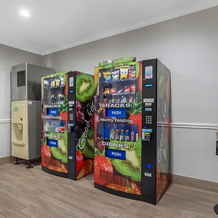 Best Western Plus North Houston Inn & Suites-3