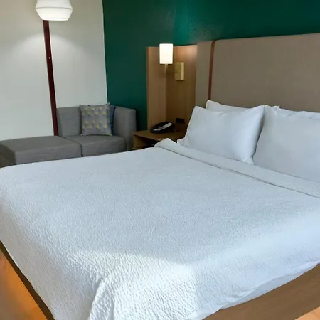 Holiday Inn Houston Reliant Park Area-2