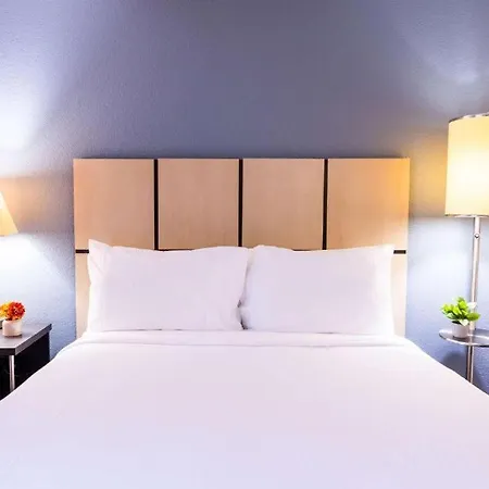 Sonesta Simply Suites Houston Brookhollow-3
